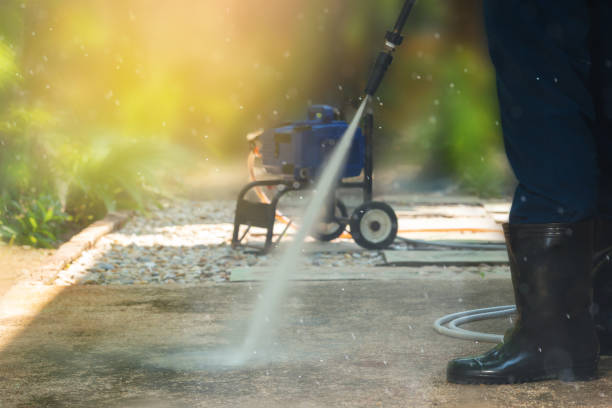 Animal Enclosure Cleaning in Coushatta, LA
